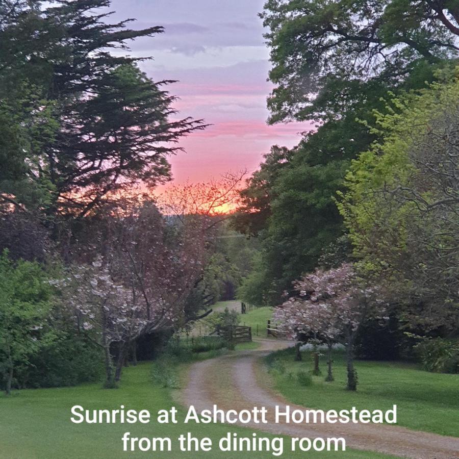 Ashcott Homestead Bed & Breakfast Takapau Εξωτερικό φωτογραφία